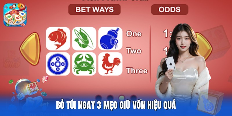 Bỏ túi ngay 3 mẹo giữ vốn hiệu quả Bỏ túi ngay 3 mẹo giữ vốn hiệu quả