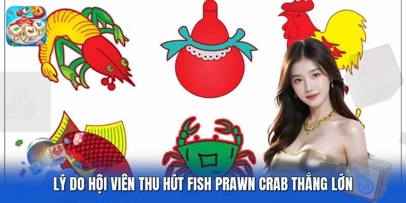 Lý do hội viên thu hút fish prawn crab thắng lớn Lý do hội viên thu hút fish prawn crab thắng lớn