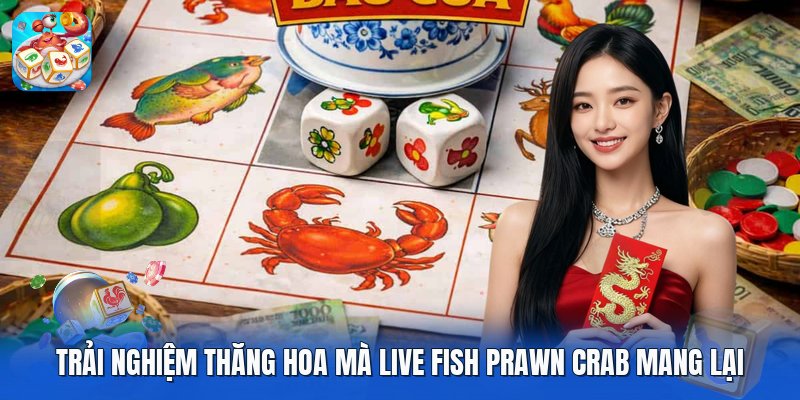 Trải nghiệm thăng hoa mà live fish prawn crab mang lại Trải nghiệm thăng hoa mà live fish prawn crab mang lại