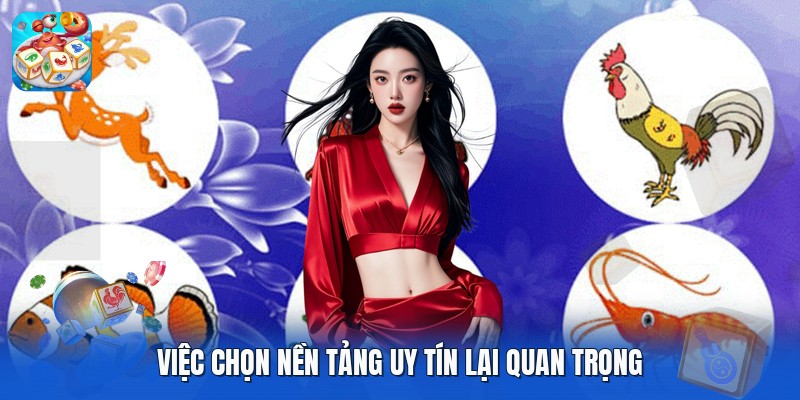 Việc chọn nền tảng uy tín lại quan trọng Việc chọn nền tảng uy tín lại quan trọng